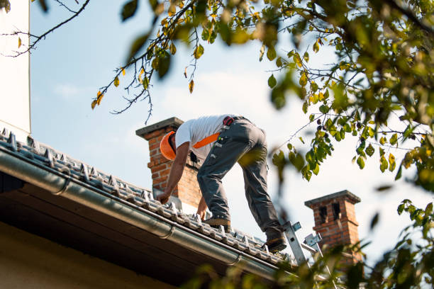 Roof Coating Services in White City, UT